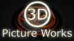 3D Picture Works